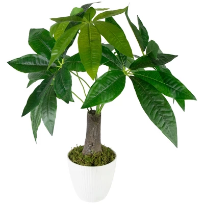 Northlight 18.5" Artificial Guiana Chestnut Plant In White Pot 4 Northlight 18.5" Artificial Guiana Chestnut Plant In White Pot - Image 2