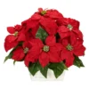 Nearly Natural Poinsettia With White Wash Planter Artificial Arrangement -Artificial Plant Store GUEST a7084336 63dc 4c4e aa8a 902d4338c1b2