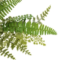 Northlight Fern And Succulents Artificial Spring Teardrop Swag - 28" 11 Northlight Fern And Succulents Artificial Spring Teardrop Swag - 28" -Artificial Plant Store GUEST a725928a 2e5c 4b63 82a7 4f89dee7cb74