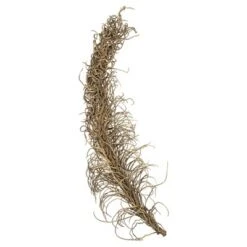 Vickerman Natural Medusa Branch, Dried 12 Vickerman Natural Medusa Branch, Dried -Artificial Plant Store GUEST a8f26bd9 6113 47f1 88d9 523a77304b0b