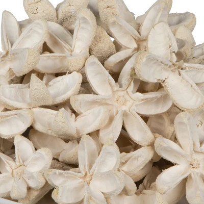 Vickerman Natural Botanicals 2"-3" Bullet Flower Bleached 50 Pcs/unit. Includes 50 Pieces Per Unit. 4 Vickerman Natural Botanicals 2"-3" Bullet Flower Bleached 50 Pcs/unit. Includes 50 Pieces Per Unit. - Image 2