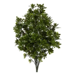 Nearly Natural 2.5-ft Tea Leaf Artificial Plant UV Resistant (Indoor/Outdoor) 7 Nearly Natural 2.5-ft Tea Leaf Artificial Plant UV Resistant (Indoor/Outdoor) -Artificial Plant Store GUEST ae54afa9 a7f1 44ba 9a02 9bf2dc77afb5
