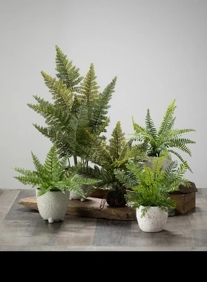 Sullivans Artificial Fern In Ball 4 Sullivans Artificial Fern In Ball - Image 2