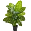 Nearly Natural 34-in Dieffenbachia Artificial Plant (Real Touch) -Artificial Plant Store GUEST ae93e6aa dd82 45c7 b44d a773663d0e06