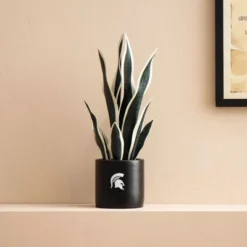 Forever Leaf Michigan State Artificial Snake, Orchid And Hydrangea Plants 3-Pack Bundle, Indoor Artificial Plant For Home Decor 13 Forever Leaf Michigan State Artificial Snake, Orchid And Hydrangea Plants 3-Pack Bundle, Indoor Artificial Plant For Home Decor -Artificial Plant Store GUEST b04983a5 f3d6 4974 8914 5008840deda8