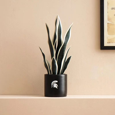 Forever Leaf Michigan State Artificial Snake, Orchid And Hydrangea Plants 3-Pack Bundle, Indoor Artificial Plant For Home Decor 5 Forever Leaf Michigan State Artificial Snake, Orchid And Hydrangea Plants 3-Pack Bundle, Indoor Artificial Plant For Home Decor - Image 3