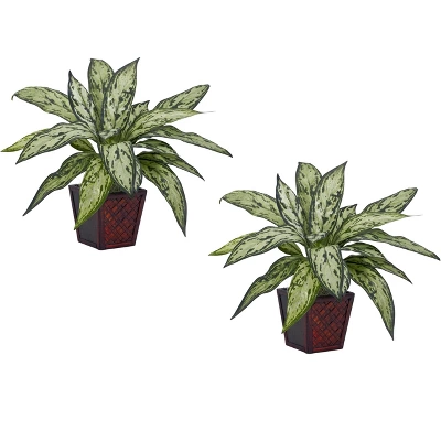 Nearly Natural Silver Queen Artificial Plant (Set Of 2) 5 Nearly Natural Silver Queen Artificial Plant (Set Of 2) - Image 3