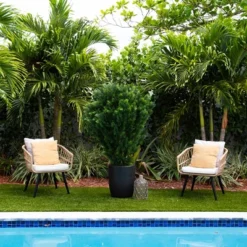 Nearly Natural 5-ft Artificial Cedar Bush UV Resistant (Indoor/Outdoor) 10 Nearly Natural 5-ft Artificial Cedar Bush UV Resistant (Indoor/Outdoor) -Artificial Plant Store GUEST b6a99173 484b 4a06 a396 88e8c0dda79b