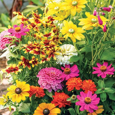 Collections Etc Roll Out Flower Seeded Mats That Attract Butterflies - Set Of 2 5 Collections Etc Roll Out Flower Seeded Mats That Attract Butterflies - Set Of 2 - Image 3