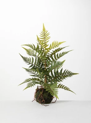 Sullivans Artificial Fern In Ball 6 Sullivans Artificial Fern In Ball - Image 4