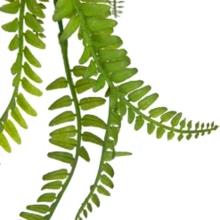 Northlight 18" Artificial Fern Plant With Moss Ball And Hanging Jute Cord -Artificial Plant Store GUEST bb6edb2d bc56 4974 8131 837b66228aaf