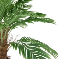Northlight 8' Unlit Artificial Potted Phoenix Palm Tree 11 Northlight 8' Unlit Artificial Potted Phoenix Palm Tree -Artificial Plant Store GUEST bc53db25 7c46 42c5 a710 807100acdacf