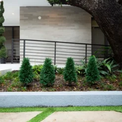 Nearly Natural 2.5-ft UV Resistant Artificial Cedar Plant With Integrated Ground Stake (Indoor/Outdoor) - Set Of 2 8 Nearly Natural 2.5-ft UV Resistant Artificial Cedar Plant With Integrated Ground Stake (Indoor/Outdoor) - Set Of 2 -Artificial Plant Store GUEST be63967d 584f 4955 8f66 b668dbfda8bb