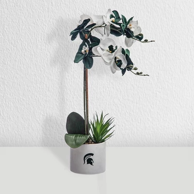Forever Leaf Michigan State Faux Orchid, Indoor Artificial Plant For Home Decor 7 Forever Leaf Michigan State Faux Orchid, Indoor Artificial Plant For Home Decor - Image 5