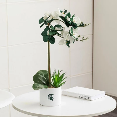 Forever Leaf Michigan State Artificial Snake, Orchid And Hydrangea Plants 3-Pack Bundle, Indoor Artificial Plant For Home Decor 11 Forever Leaf Michigan State Artificial Snake, Orchid And Hydrangea Plants 3-Pack Bundle, Indoor Artificial Plant For Home Decor - Image 9