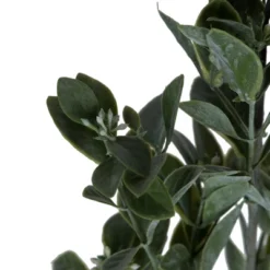 Vickerman Artificial Green And White Aglaia Spray