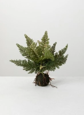 Sullivans Artificial Fern In Ball 5 Sullivans Artificial Fern In Ball - Image 3