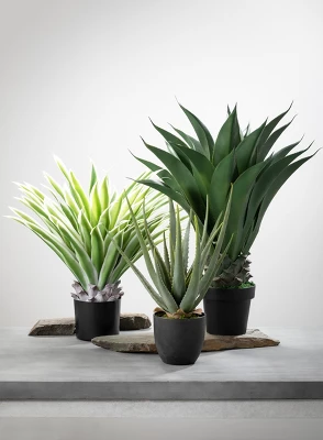 Sullivans Artificial Potted Varigated Agave 26"H Green 3 Sullivans Artificial Potted Varigated Agave 26"H Green