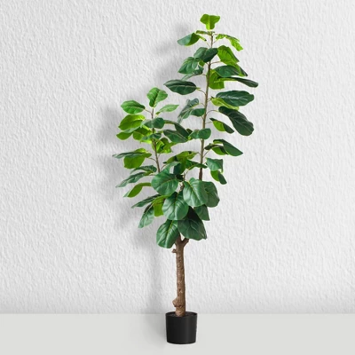 Forever Leaf 72" Artificial Fiddle Tree In Black Pot 2 Stem, Indoor Artificial Plant For Home Decor 4 Forever Leaf 72" Artificial Fiddle Tree In Black Pot 2 Stem, Indoor Artificial Plant For Home Decor - Image 2