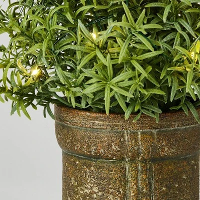 Rosemary Pre-Lit Christmas Arrangement - Threshold™ Designed With Studio McGee 4 Rosemary Pre-Lit Christmas Arrangement - Threshold™ Designed With Studio McGee - Image 2