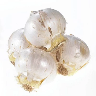 Van Zyverden 12ct Bulbs Allium Purple Sensation 5 Van Zyverden 12ct Bulbs Allium Purple Sensation - Image 3