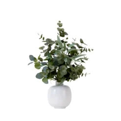 Nearly Natural 24-in Artificial Eucalyptus Leaves Arrangement With Ceramic Planter -Artificial Plant Store GUEST c6ad558d 89df 4a24 b436 e2c2f650ec7c