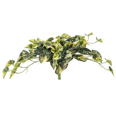 Vickerman 15" Artificial Hanging Variegated Leaves Vine, 2 Per Bag 5 Vickerman 15" Artificial Hanging Variegated Leaves Vine, 2 Per Bag - Image 3