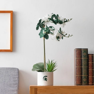 Forever Leaf Michigan State Faux Orchid, Indoor Artificial Plant For Home Decor 5 Forever Leaf Michigan State Faux Orchid, Indoor Artificial Plant For Home Decor - Image 3