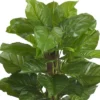 63" X 33" Artificial Leaf Philodendron Plant In Pot - Nearly Natural 1 63" X 33" Artificial Leaf Philodendron Plant In Pot - Nearly Natural -Artificial Plant Store GUEST cb47980f 0d70 492b be58 c757e1594a73