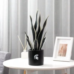 Forever Leaf Michigan State Faux Snake Plant, Indoor Artificial Plant For Home Decor -Artificial Plant Store GUEST cba640c3 b016 4cf2 bbe9 75c0b1d3fea6