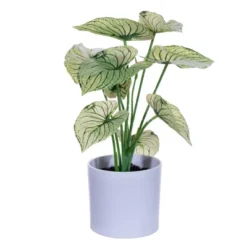 Vickerman 11.5" Artificial Variegated Leaves In Pot, 2 Per Bag -Artificial Plant Store GUEST cd413483 3220 4b66 bd9b 10f42e1bf2cf