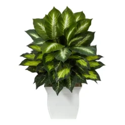 Nearly Natural 2-ft Golden Dieffenbachia Artificial Plant In White Metal Planter 9 Nearly Natural 2-ft Golden Dieffenbachia Artificial Plant In White Metal Planter -Artificial Plant Store GUEST cd4c7c19 6990 4767 aefd cc63807b23e3