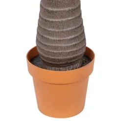 Northlight 8' Unlit Artificial Potted Phoenix Palm Tree 13 Northlight 8' Unlit Artificial Potted Phoenix Palm Tree -Artificial Plant Store GUEST cef16ac3 1a52 4e49 870b 69dca63ebd5c