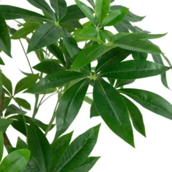 Northlight 4' Artificial Unbraided Potted Green Money Tree 10 Northlight 4' Artificial Unbraided Potted Green Money Tree -Artificial Plant Store GUEST cfc0548d 910d 4ed3 9148 3b5c5c01ab33