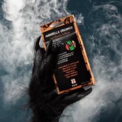 Amborella Organics 8pk Spooky Season Seed-Bearing Lollipops Flower Seeds -Artificial Plant Store GUEST d2012ca7 b00b 437a 9f31 303d20060c3b