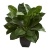 Nearly Natural Oak Ficus Artificial Plant