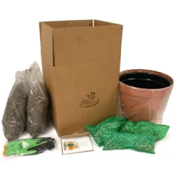 Van Zyverden 46ct Bulbs Multicolored Unison Spring Blooming Patio Planter Set -Artificial Plant Store GUEST d254073f 3f70 4727 bead b60bbbdbc96b