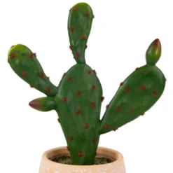 Northlight Real Touch™ Artificial Green And Red Potted Floral Cactus 9.5" -Artificial Plant Store GUEST d441b7e9 68de 46db 87a8 53b658aa8cb7
