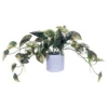 Vickerman 16" Artificial Green Variegated Leaves In Pot. 2 Vickerman 16" Artificial Green Variegated Leaves In Pot. -Artificial Plant Store GUEST d59cfa33 bcac 4065 ae81 7f506b48408a