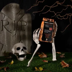 Amborella Organics 8pk Spooky Season Seed-Bearing Lollipops Flower Seeds -Artificial Plant Store GUEST d9d367ba 0fba 4478 a2cd 62f4248a6e63