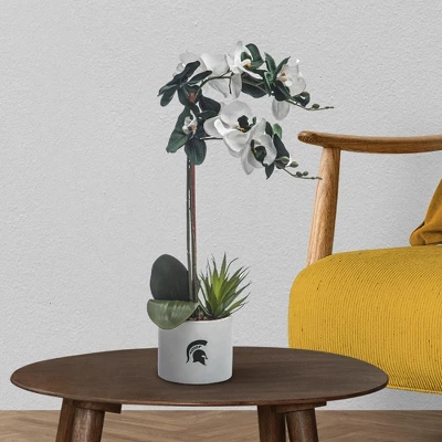 Forever Leaf Michigan State Faux Orchid, Indoor Artificial Plant For Home Decor 4 Forever Leaf Michigan State Faux Orchid, Indoor Artificial Plant For Home Decor - Image 2