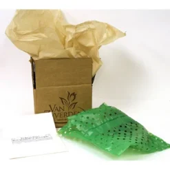 Van Zyverden Amaryllis Naranja Flower Bulb 9 Van Zyverden Amaryllis Naranja Flower Bulb -Artificial Plant Store GUEST da007728 081a 4451 a0c3 be3329b28a63