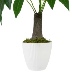 Northlight 18.5" Artificial Guiana Chestnut Plant In White Pot 9 Northlight 18.5" Artificial Guiana Chestnut Plant In White Pot -Artificial Plant Store GUEST da501613 743a 46ed 956a 71b001639a45