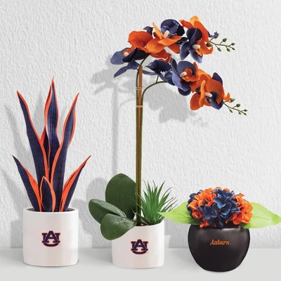 Forever Leaf Auburn Artificial Snake, Orchid And Hydrangea Plants 3-Pack Bundle, Indoor Artificial Plant For Home Decor 5 Forever Leaf Auburn Artificial Snake, Orchid And Hydrangea Plants 3-Pack Bundle, Indoor Artificial Plant For Home Decor - Image 3