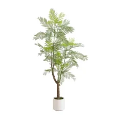 Nearly Natural 6-ft Artificial Jacaranda Tree In White Decorative Planter 11 Nearly Natural 6-ft Artificial Jacaranda Tree In White Decorative Planter -Artificial Plant Store GUEST df630926 c4ac 4aa3 be55 a95f44b5c774