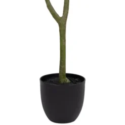 Northlight 4' Artificial Unbraided Potted Green Money Tree 13 Northlight 4' Artificial Unbraided Potted Green Money Tree -Artificial Plant Store GUEST e07a198c 4d81 44ed 9a41 88abf5d8b9f8