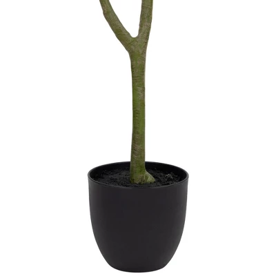 Northlight 4' Artificial Unbraided Potted Green Money Tree 8 Northlight 4' Artificial Unbraided Potted Green Money Tree - Image 6