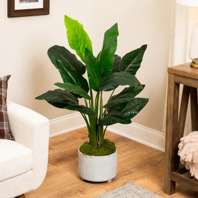 Northlight Potted Artificial Bird Of Paradise Plant - 43" 3 Northlight Potted Artificial Bird Of Paradise Plant - 43"