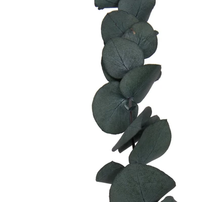 Vickerman Natural Botanicals 18-20" X 9" Eucalyptus Spiral, 100 Grams Per Unit 7 Vickerman Natural Botanicals 18-20" X 9" Eucalyptus Spiral, 100 Grams Per Unit - Image 5