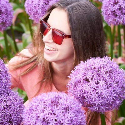 Set Of 1 Allium Globemaster Bulbs - Van Zyverden 4 Set Of 1 Allium Globemaster Bulbs - Van Zyverden - Image 2